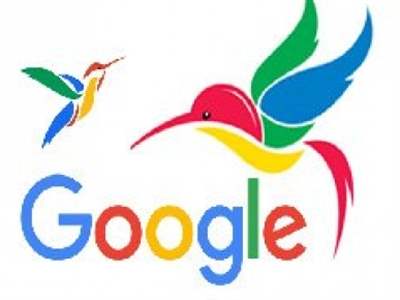 الگوریتم جدید گوگل : مرغ مگس خوار